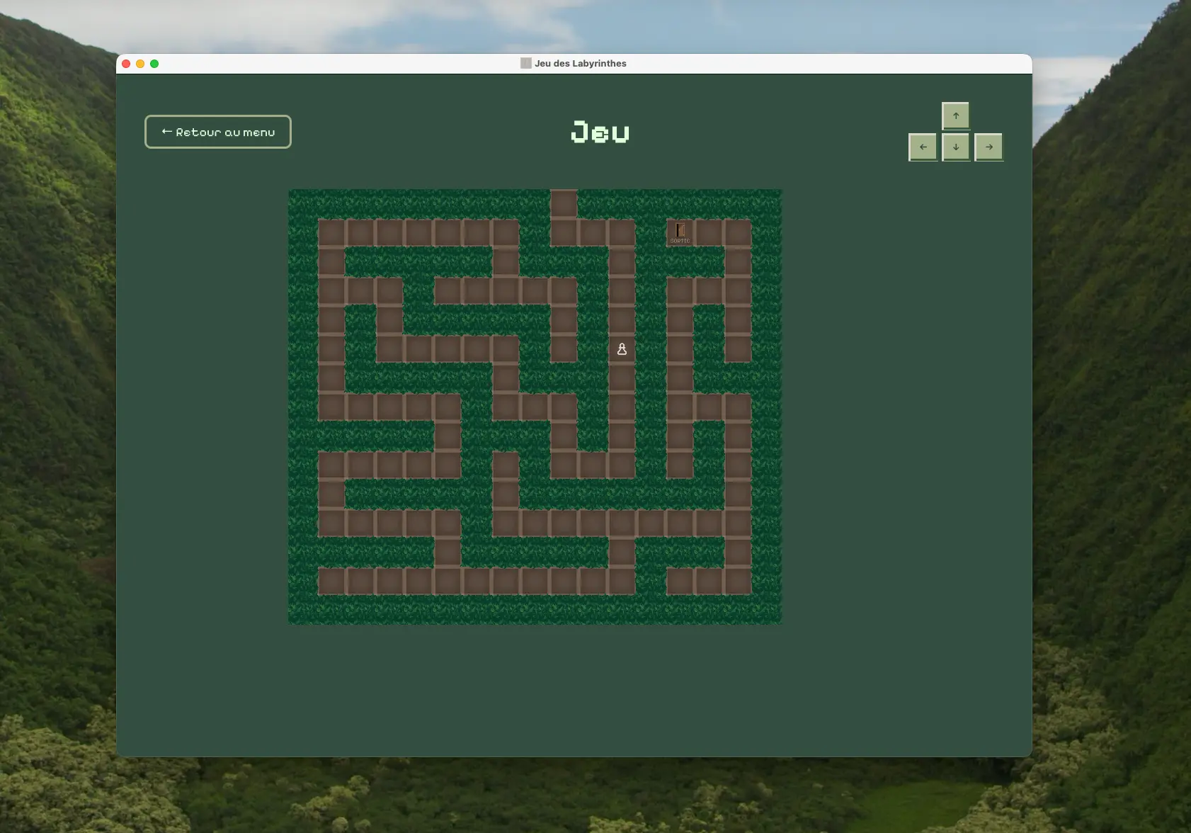 Screenshot of Le Jeu des Labyrinthes
