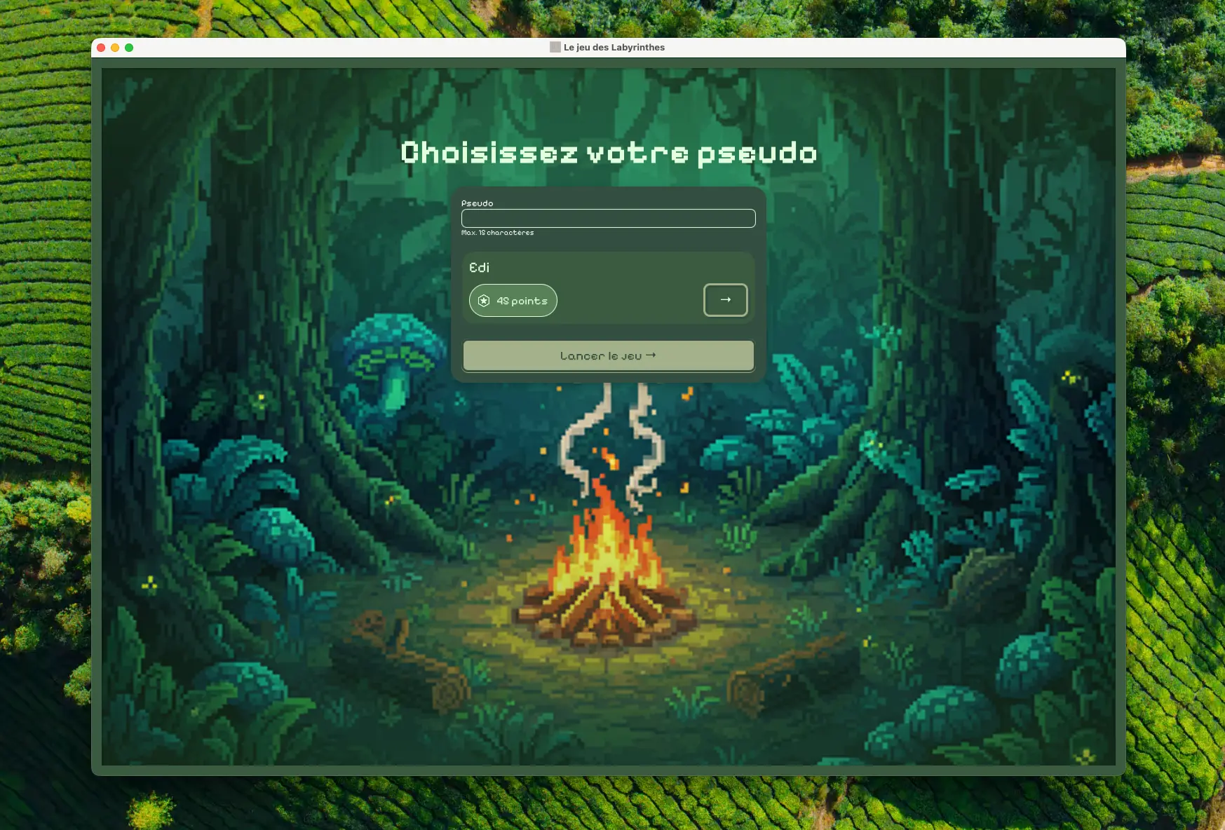 Screenshot of Le Jeu des Labyrinthes