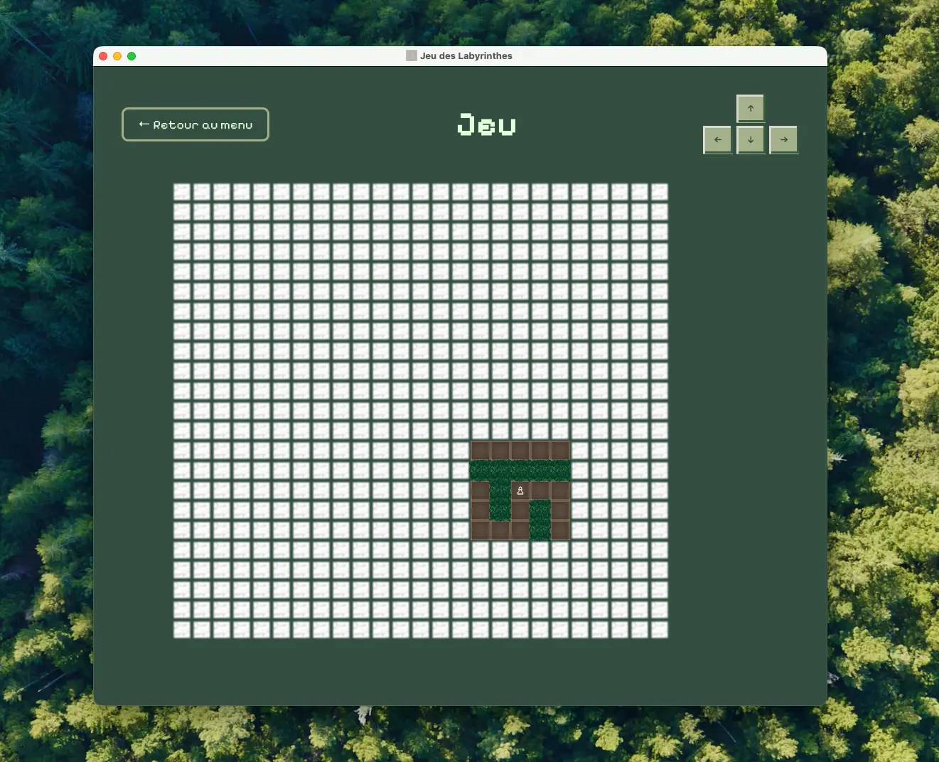 Screenshot of Le Jeu des Labyrinthes